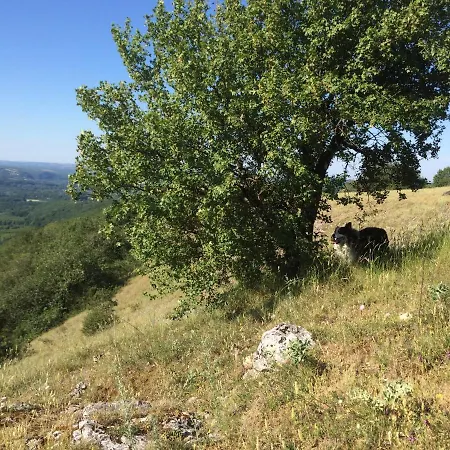 Le Moulin Ferienhaus *